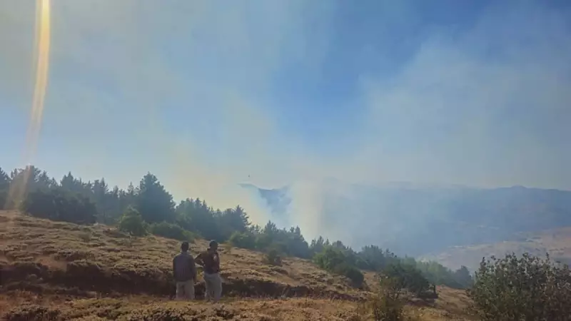Gümüşhane'de Çobanın Dikkatsizliği Büyük Yangına Yol Açtı: 3 Hektar Orman Küle Döndü!