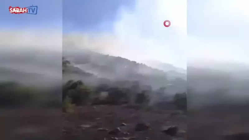 Hakkari'nin Dağlıca Köyü'nde Orman Yangını: Alevlerle Mücadele Sürüyor!