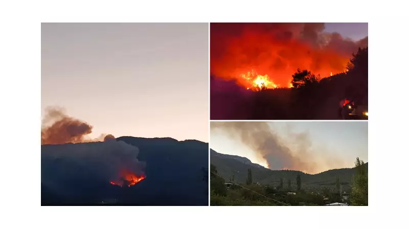 Hassa'da Rüzgarın Alevleriyle Dans Eden Orman Yangını: Korkutan Görüntüler!