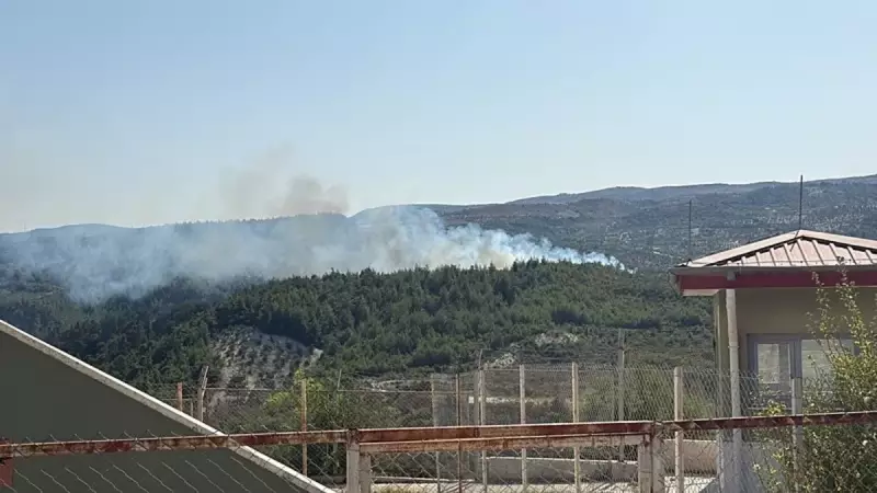 Hatay'da Çıkan Orman Yangını Sonunda Kontrol Altına Alındı: İşte Detaylar!