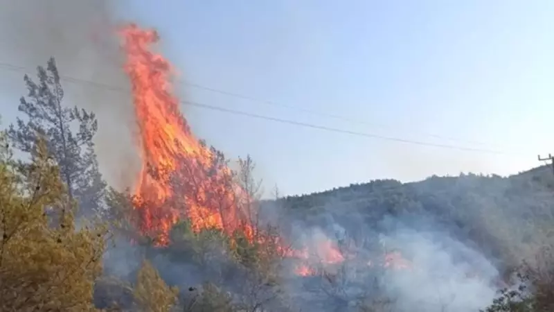 Hatay'da Ormanlık Alanda Çıkan Yangın Korku Yarattı: İşte Son Durum!