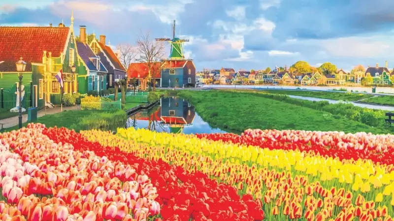 Hollanda ile Dev İş Birliği: 50 Milyar Dolarlık Yatırım Kapıda!