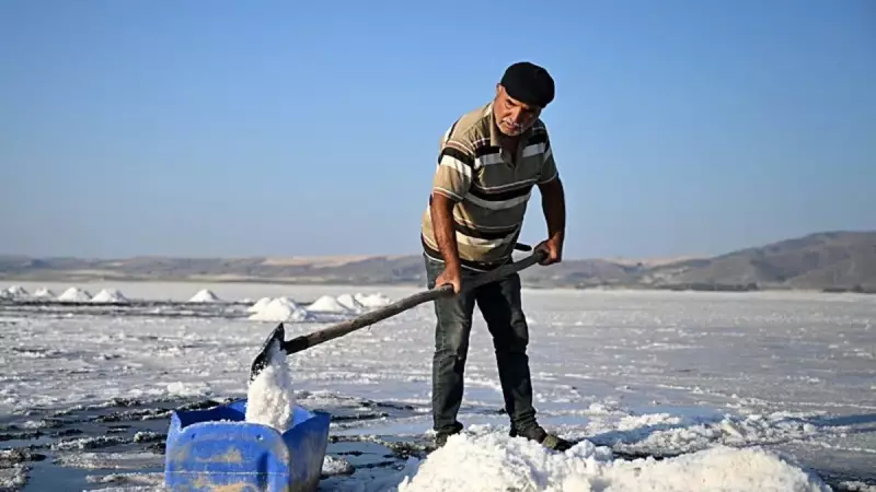 Huri'nin Tuz Gölü'ndeki İnanılmaz Mirası: Dedesi Gibi Tuz Topluyor!