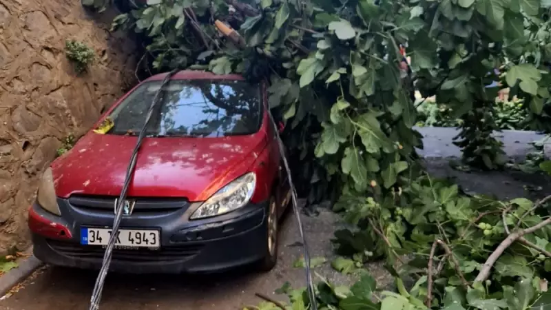 Şiddetli Rüzgarın Yol Açtığı Kaos: Elektrik Direği ve İncir Ağacı Araçların Üzerine Devrildi!