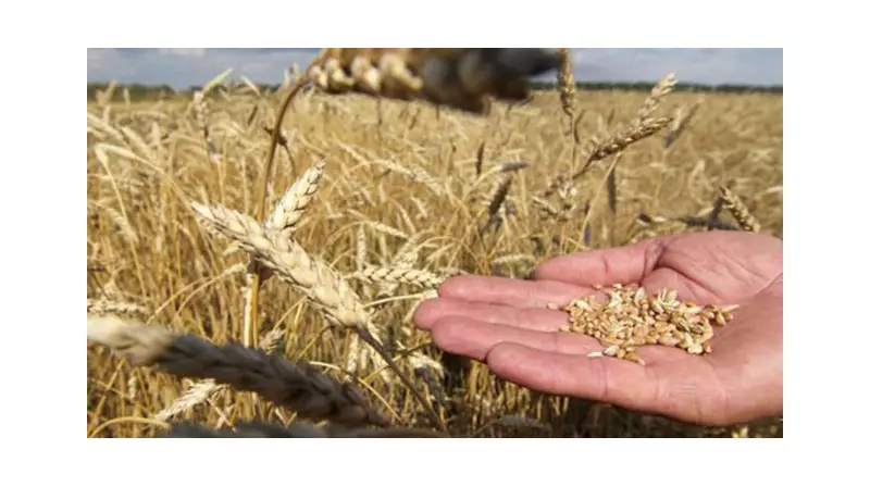 Çiftçilere Müjde! Bitkisel Üretim Desteklerinde Yeni Düzenleme