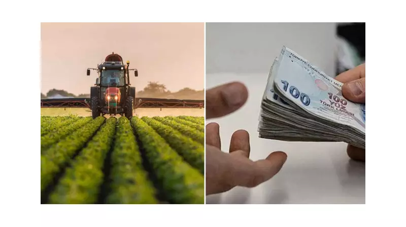 Çiftçilere Müjde! Bugün 1,163 Milyon TL Tarımsal Destek Ödemesi Yapılıyor