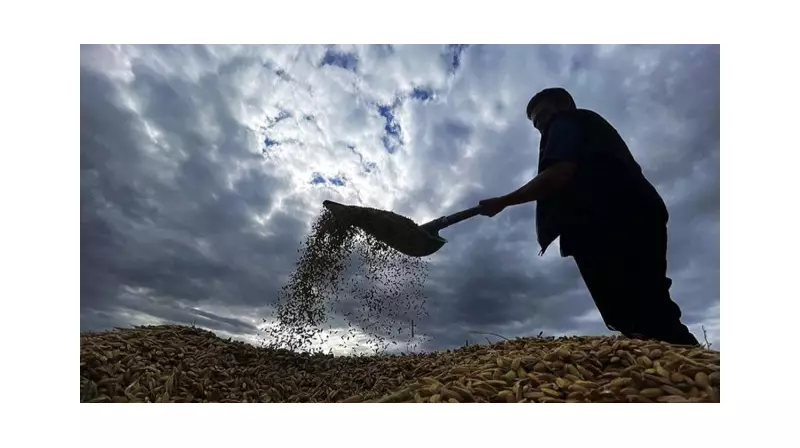 Çiftçilere Müjde! Tarımsal Destek Ödemeleri E-Devlet Kapısında Sorgulanabilir