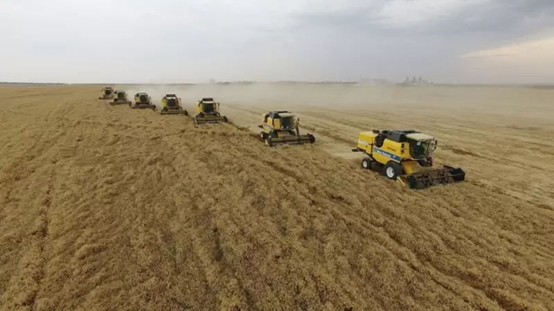 Çiftçilere Müjde! Tarımsal Destek Ödemeleri Hesaplara Yatırıldı