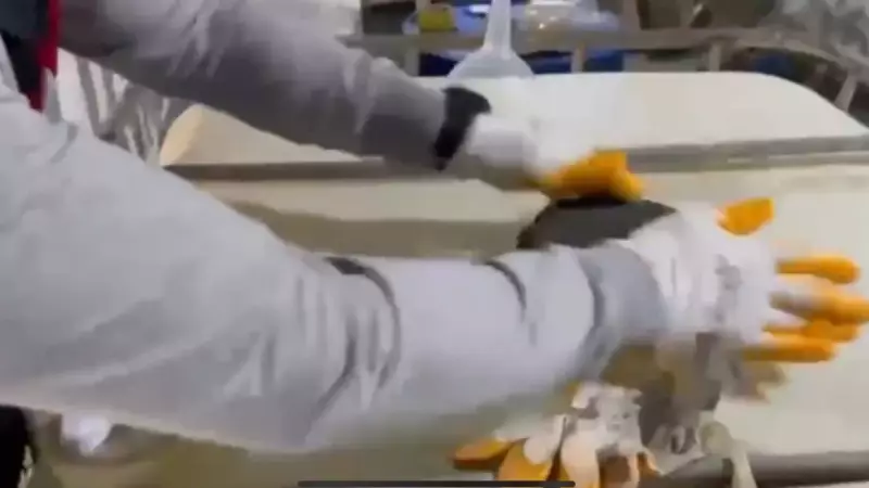 Jandarma Sahte Alkole Geçit Vermedi: 121 Gözaltı ile Büyük Operasyon!