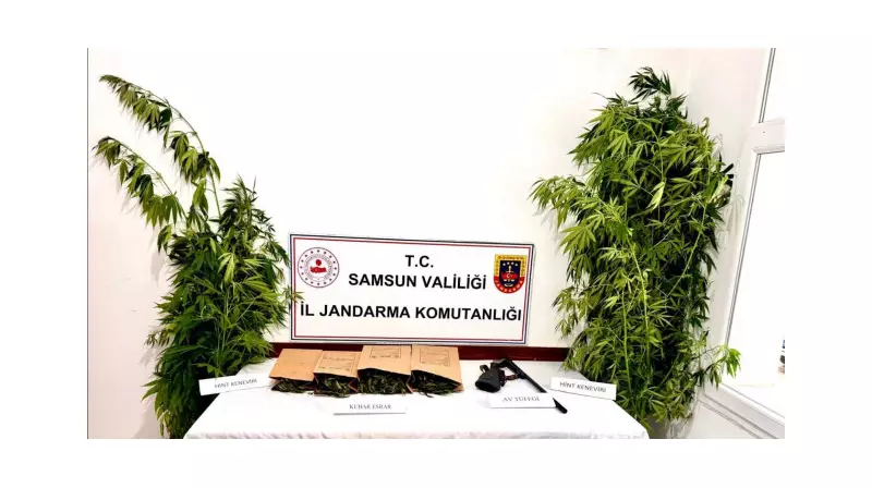 Jandarma'nın Büyük Operasyonu: Kubar'da Dev Miktarda Esrar ve Kenevir Ele Geçirildi!