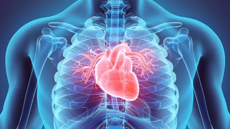 Kalbiniz Size Ne Anlatıyor? Kardiyologların Asla Göz Ardı Etmemenizi İstediği 9 Şaşırtıcı Belirti