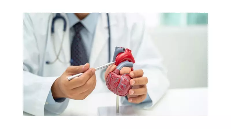 Kalp Yetmezliği ve Ritim Bozukluğu Olanlar İçin Umut Işığı: Yeni Tedavi Yöntemi!