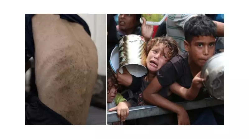 Kanada'dan Gazze İçin Çarpıcı Açıklama: 'İnsani Durum Felaket Boyutunda'