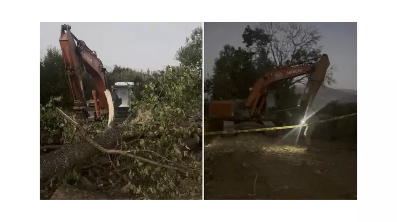 Kanal Çalışmasında Devrilen Ağaç Can Aldı: İşçi Hayatını Kaybetti