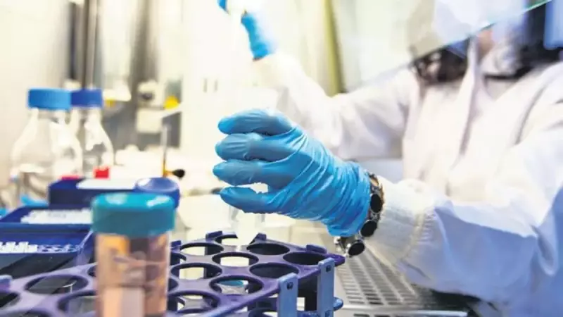 Kanser Tedavisinde Devrim Gibi Gelişme: Yeni Aşı Umutları Artırıyor!