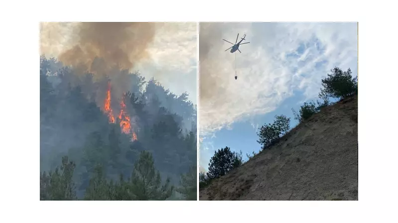 Karabük'te Çıkan Orman Yangını: Alevlerin Gölgesinde Kalan Doğa