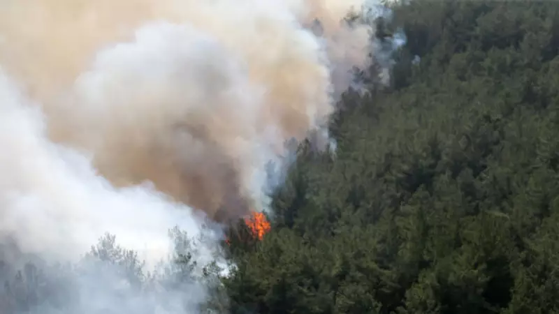 Karabük'teki Yangın Faciası: Alevler Yeniden Hortladı!