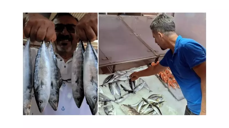 Kasa Kasa Toplanıyor! Tanesi 350 Liradan Satışta - Yasak Kalktı, Pazar Hareketlendi