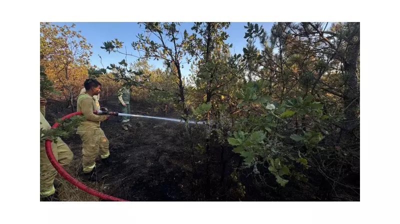 Kastamonu'da Çıkan Orman Yangını Son Dakika: Alevlerle Mücadele Kazanıldı!