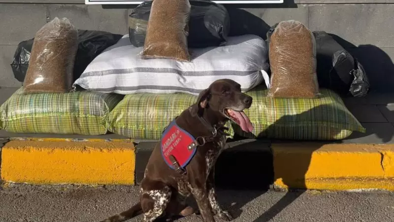 Kayseri'de Otobüste Şok Edici Keşif: 230 Kilo Kaçak Tütün Yakalandı!