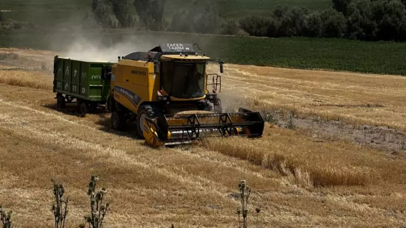 Kayseri'de Üretici Sayısı Patladı: 32 Bin Rakamına Ulaşıldı!
