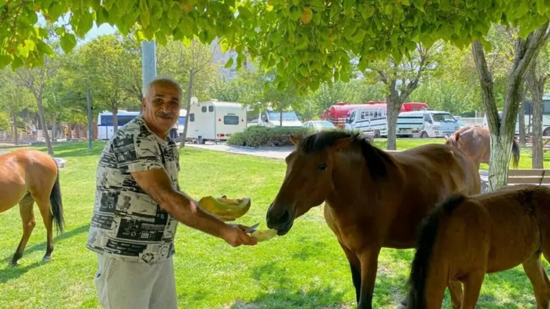 Kent Merkezinde Yılkı Atlarına Şaşırtıcı Misafirperverlik: Pazarcılar Kavun ve Karpuz İkram Etti!