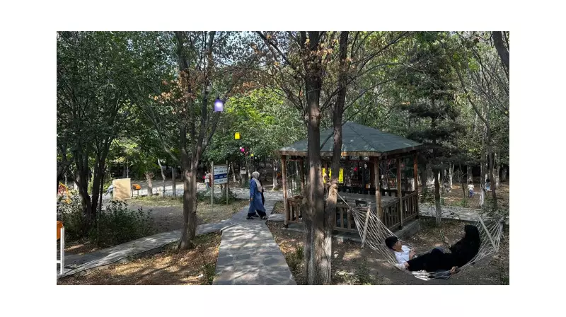 Kent Ormanı'nda Çevre Bilinci Hareketi: Çöp Toplayana Ücretsiz Giriş!