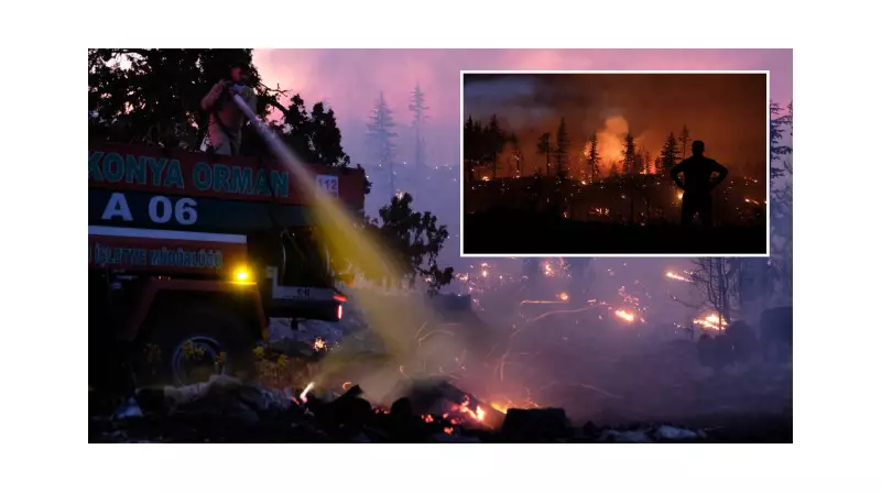 Kocaeli, Karaman, Afyonkarahisar ve Diyarbakır'da Orman Yangınları: Alevlerle Mücadele Devam Ediyor!