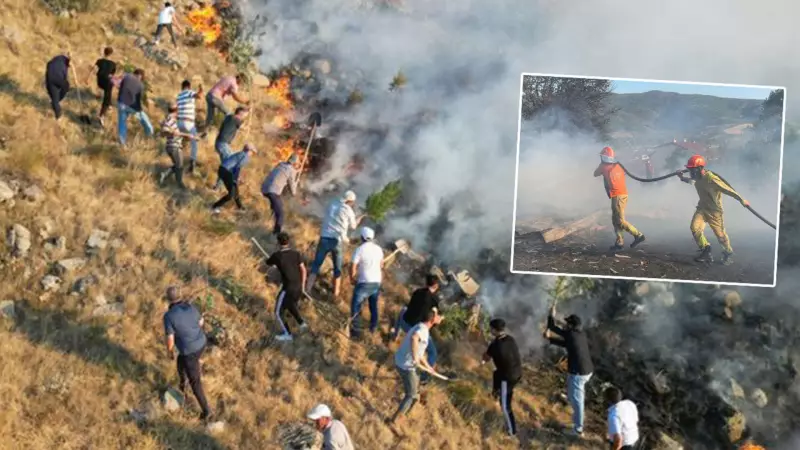 Kocaeli ve İzmir Urla'da Orman Yangınları: Son Dakika Gelişmeleri ve Müdahale Detayları