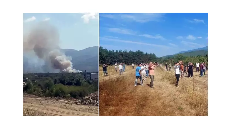 Kocaeli'de Orman Yangını! Çok Sayıda Ekip Sevk Edildi