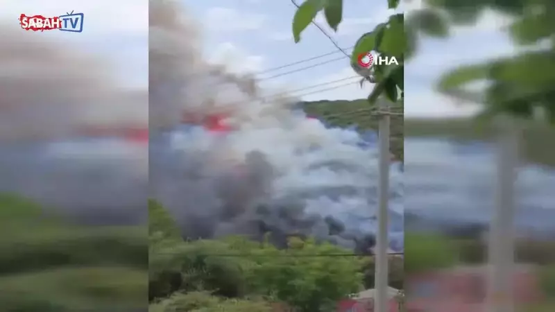 Kocaeli'de Yeşil Alanı Alevler Sardı! İtfaiye Gece Yarısı Müdahalesi