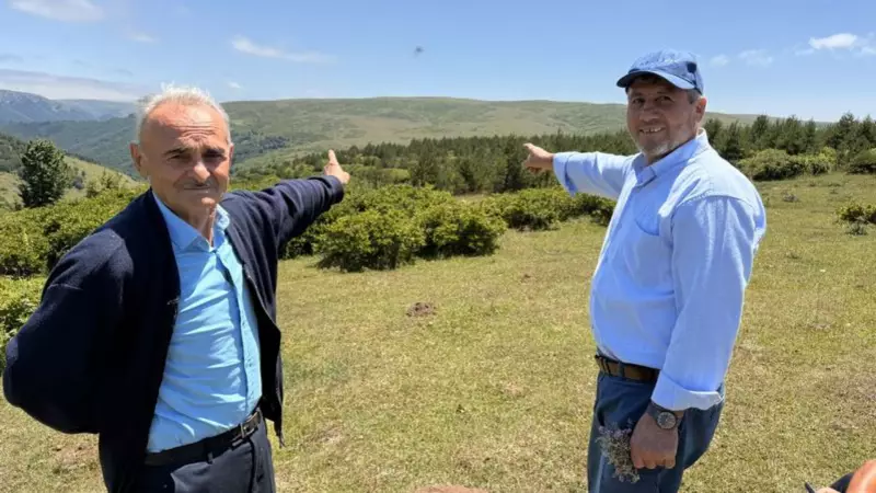 Konya'da Bir Mucize: Yayla Halkı İmece Usulüyle Çorak Arazileri Yemyeşil Ormana Dönüştürdü!