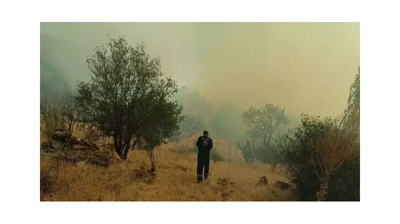 Konya'da Orman Yangınına Müdahale: Rüzgarın Ateşiyle Dans Ettiler, Kazandılar!
