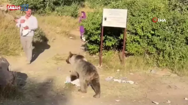 Korkunç Anlar: Kucağındaki Bebeğiyle Ayı Saldırısına Uğrayan Kadın Mucizevi Şekilde Kurtuldu!