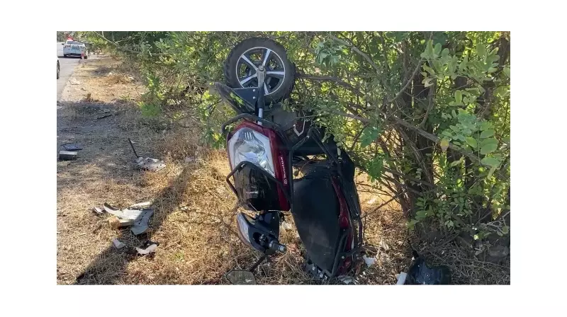 Korkunç Kaza: Motosiklet Ağaca Saplandı, Sürücü Hayatını Kaybetti!