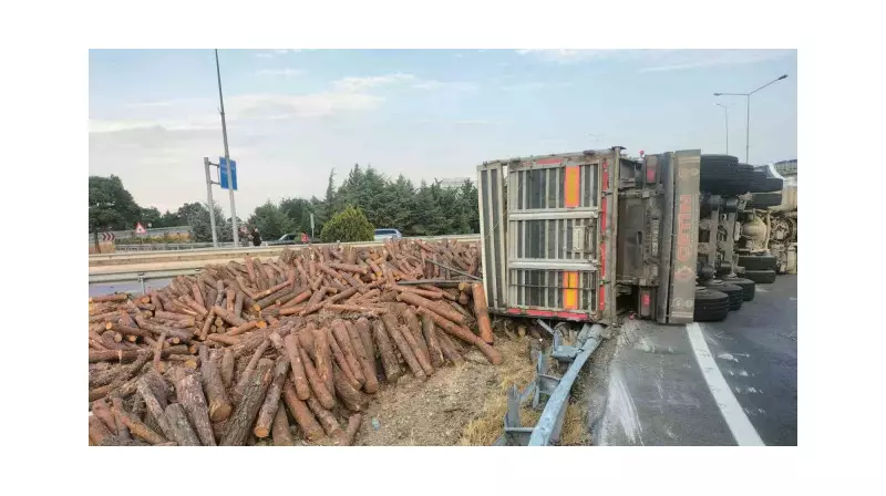 Korkunç Kaza: Tomruk Yüklü Tır Devrildi, Sürücü Yaralandı!