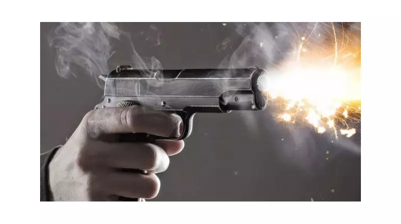 Köpek Saldırısına Uğrayan Kişi Silahla Karşılık Verdi: Bir Köpek Hayatını Kaybetti