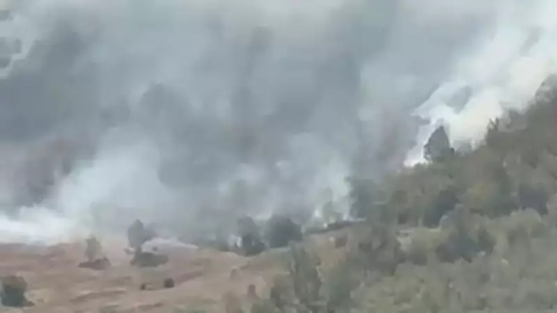 Küre Dağları Milli Parkı'nda Orman Yangını! İtfaiye Seferber Oldu