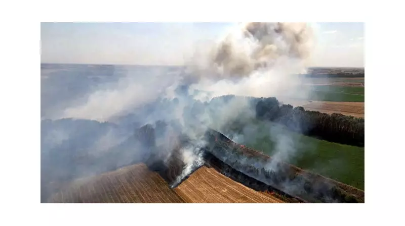 Kırklareli'de Anız Yangını: TEM ve D-100 Karayolları Trafiğe Kapatıldı!