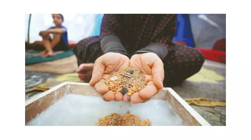 Kumlu'da Hayatta Kalma Mücadelesi: Pirinç Yemek Zorundalar!