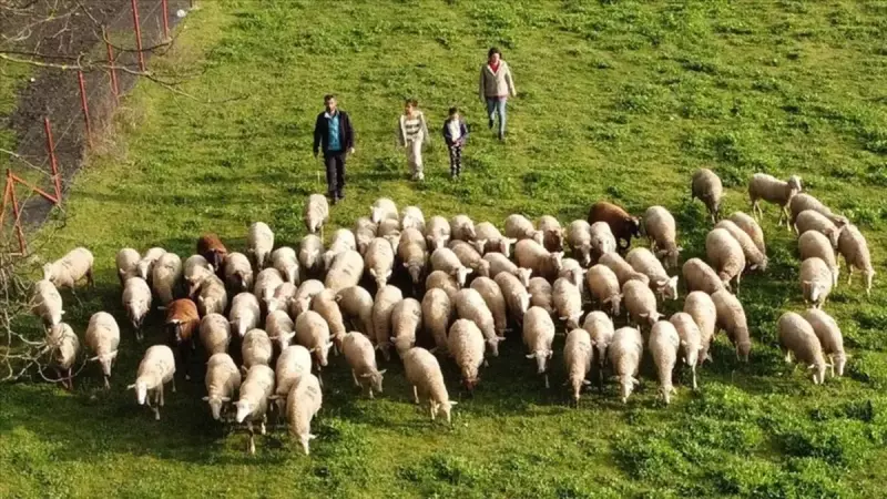 Köye Dönüşte Büyük Fırsat: Tarım Arazisi ve Ev Desteği Detayları!