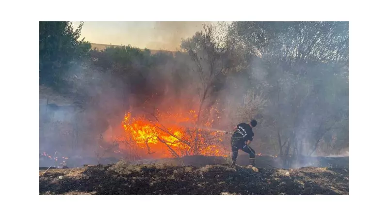Malatya'da Anız Yangını: 50 Dönüm Arazi Küle Döndü!