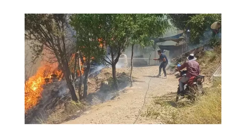 Malatya'da Orman Yangını: Alevlerle Mücadele Sürüyor!