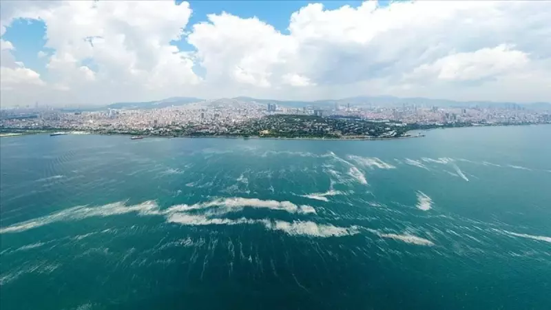 Marmara Denizi'nde Müsilaj Alarmı: 55 Tesise Operasyon! Bakanlık Göz Açtırmıyor