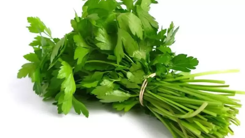 Maydanozun Tazeliğini Korumanın Sırları: Sararmadan Nasıl Saklanır?