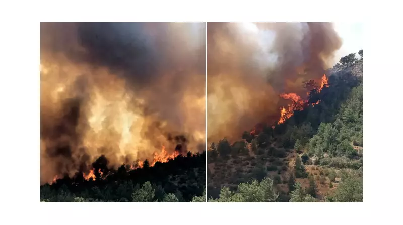 Mersin ve Çanakkale'de Orman Yangınları: Alevlerin Gölgesinde Kalan Doğa