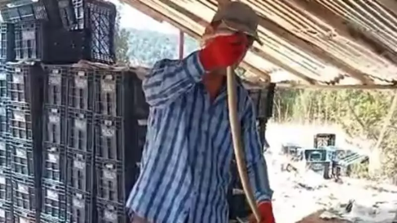 Mersin'de Şaşırtan Olay: Yılanı Su İçirip Öptü!