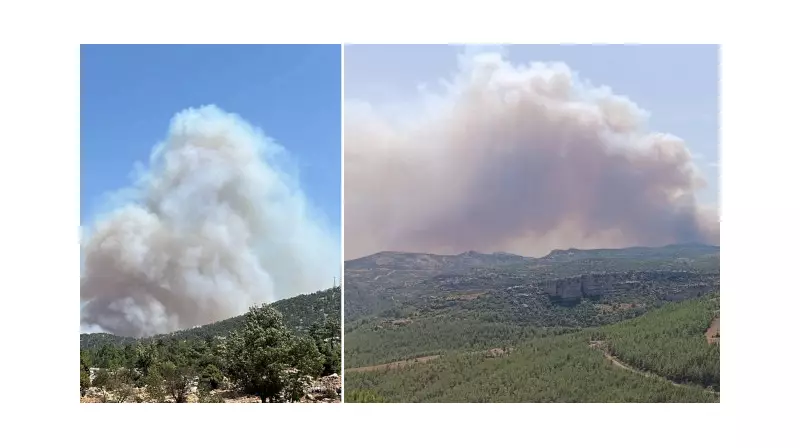 Mersin'de Yeşil Alan Alev Alev! Orman Yangını Korku Saçtı