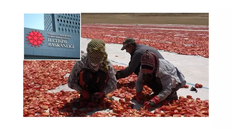 Mevsimlik Tarım İşçilerine Müjde! Destekler Artırıldı, Detaylar Burada