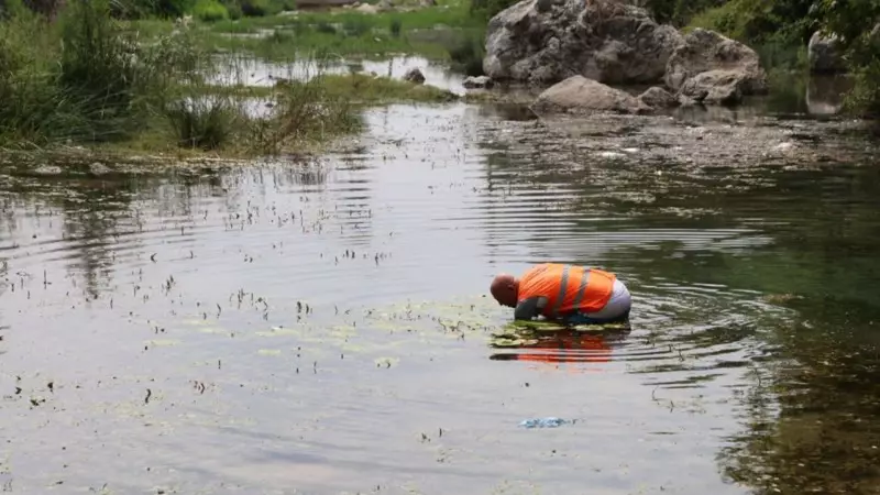 Muhtar İsyan Etti: 'Kirletecekseniz Gelmeyin!' - Sahili Temiz Tutma Çağrısı